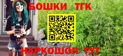 индика Беслан